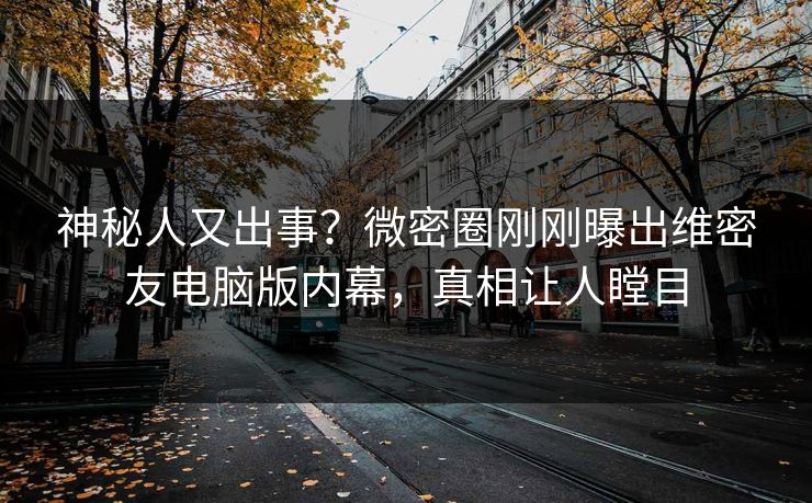 神秘人又出事？微密圈刚刚曝出维密友电脑版内幕，真相让人瞠目
