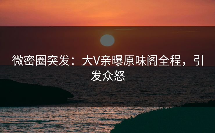 微密圈突发：大V亲曝原味阁全程，引发众怒