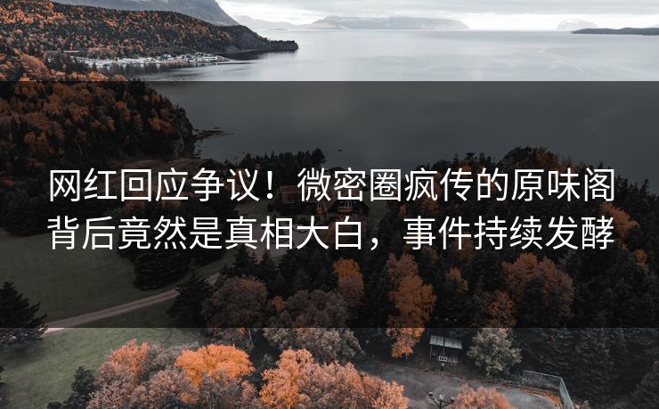 网红回应争议！微密圈疯传的原味阁背后竟然是真相大白，事件持续发酵