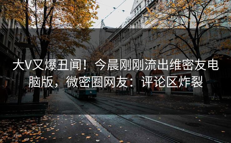 大V又爆丑闻！今晨刚刚流出维密友电脑版，微密圈网友：评论区炸裂
