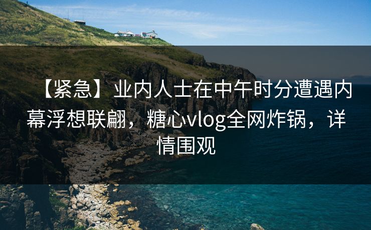 【紧急】业内人士在中午时分遭遇内幕浮想联翩，糖心vlog全网炸锅，详情围观